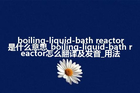 boiling-liquid-bath reactor是什么意思_boiling-liquid-bath reactor怎么翻译及发音_用法