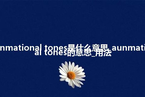 aunmational tones是什么意思_aunmational tones的意思_用法