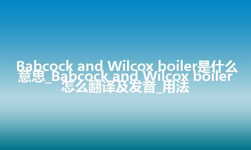 Babcock and Wilcox boiler是什么意思_Babcock and Wilcox boiler怎么翻译及发音_用法