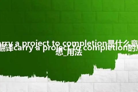 carry a project to completion是什么意思_翻译carry a project to completion的意思_用法