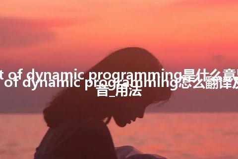 art of dynamic programming是什么意思_art of dynamic programming怎么翻译及发音_用法