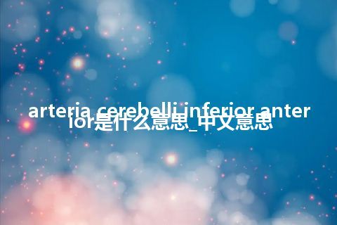 arteria cerebelli inferior anterior是什么意思_中文意思