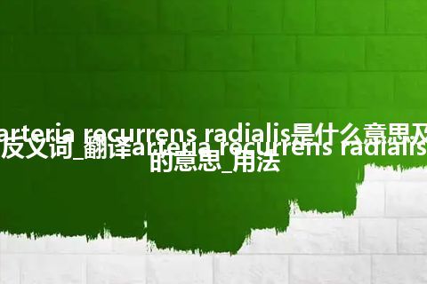 arteria recurrens radialis是什么意思及反义词_翻译arteria recurrens radialis的意思_用法