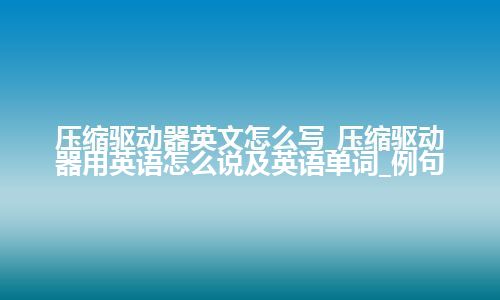 压缩驱动器英文怎么写_压缩驱动器用英语怎么说及英语单词_例句