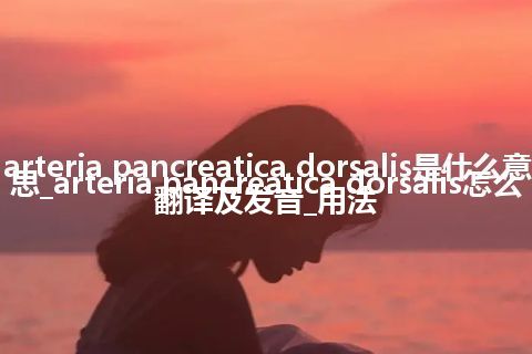 arteria pancreatica dorsalis是什么意思_arteria pancreatica dorsalis怎么翻译及发音_用法