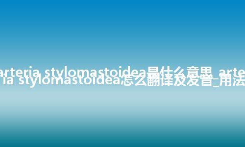 arteria stylomastoidea是什么意思_arteria stylomastoidea怎么翻译及发音_用法