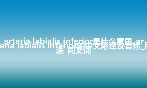 arteria labialis inferior是什么意思_arteria labialis inferior的中文翻译及音标_用法_同义词