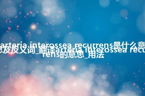 arteria interossea recurrens是什么意思及反义词_翻译arteria interossea recurrens的意思_用法