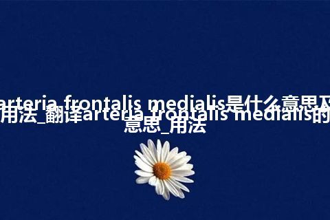 arteria frontalis medialis是什么意思及用法_翻译arteria frontalis medialis的意思_用法