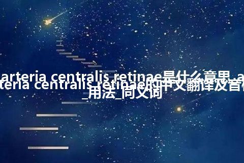 arteria centralis retinae是什么意思_arteria centralis retinae的中文翻译及音标_用法_同义词