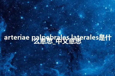 arteriae palpebrales laterales是什么意思_中文意思