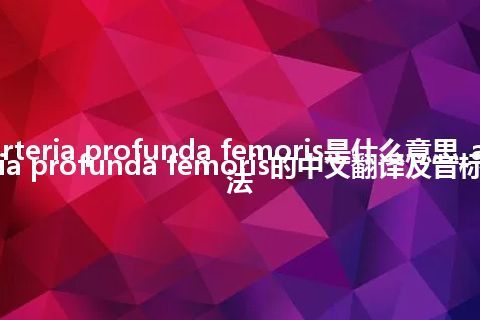 arteria profunda femoris是什么意思_arteria profunda femoris的中文翻译及音标_用法