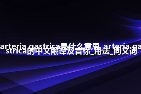 arteria gastrica是什么意思_arteria gastrica的中文翻译及音标_用法_同义词