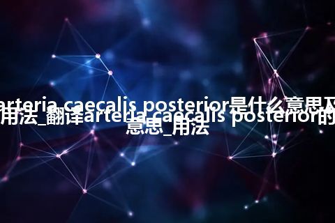 arteria caecalis posterior是什么意思及用法_翻译arteria caecalis posterior的意思_用法