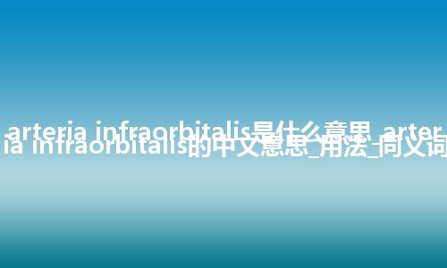 arteria infraorbitalis是什么意思_arteria infraorbitalis的中文意思_用法_同义词