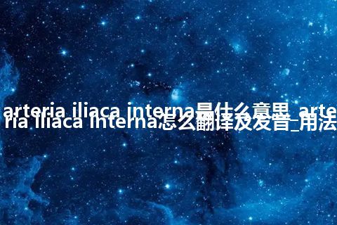 arteria iliaca interna是什么意思_arteria iliaca interna怎么翻译及发音_用法