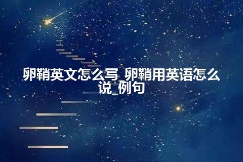 卵鞘英文怎么写_卵鞘用英语怎么说_例句