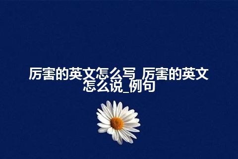 厉害的英文怎么写_厉害的英文怎么说_例句