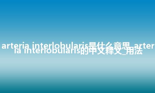 arteria interlobularis是什么意思_arteria interlobularis的中文释义_用法