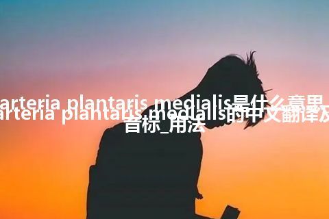 arteria plantaris medialis是什么意思_arteria plantaris medialis的中文翻译及音标_用法