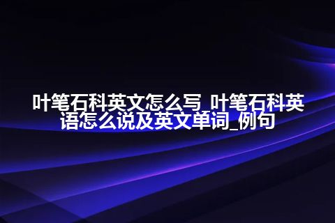 叶笔石科英文怎么写_叶笔石科英语怎么说及英文单词_例句