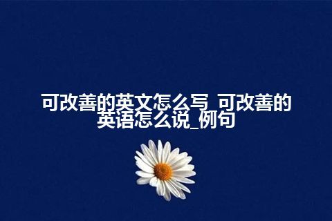 可改善的英文怎么写_可改善的英语怎么说_例句