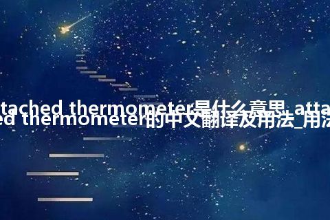 attached thermometer是什么意思_attached thermometer的中文翻译及用法_用法