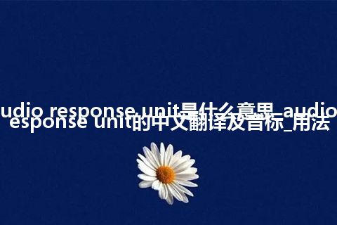 audio response unit是什么意思_audio response unit的中文翻译及音标_用法