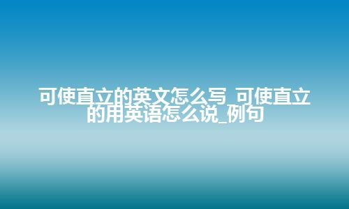 可使直立的英文怎么写_可使直立的用英语怎么说_例句