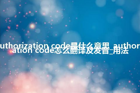 authorization code是什么意思_authorization code怎么翻译及发音_用法