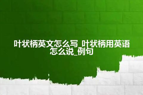 叶状柄英文怎么写_叶状柄用英语怎么说_例句