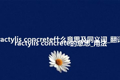 atractylis concrete什么意思及同义词_翻译atractylis concrete的意思_用法