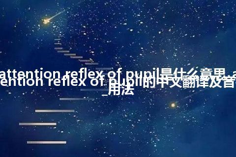 attention reflex of pupil是什么意思_attention reflex of pupil的中文翻译及音标_用法