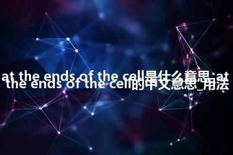 at the ends of the cell是什么意思_at the ends of the cell的中文意思_用法