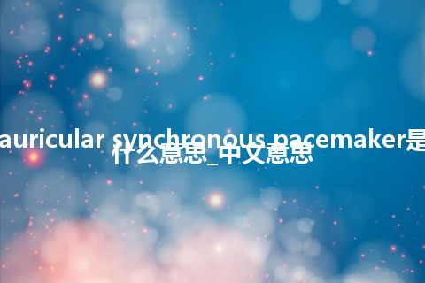 auricular synchronous pacemaker是什么意思_中文意思