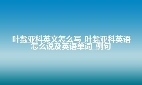 叶螽亚科英文怎么写_叶螽亚科英语怎么说及英语单词_例句