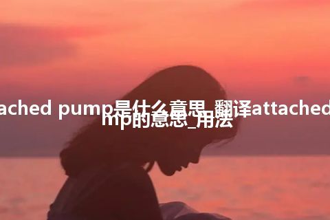 attached pump是什么意思_翻译attached pump的意思_用法