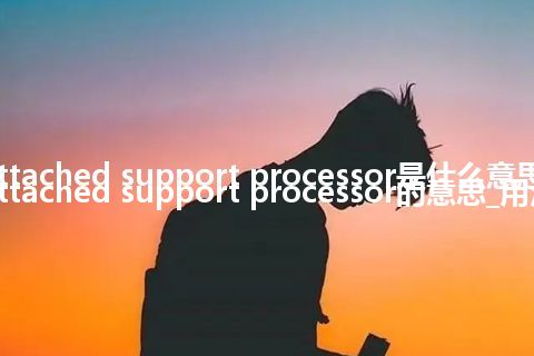 attached support processor是什么意思_attached support processor的意思_用法