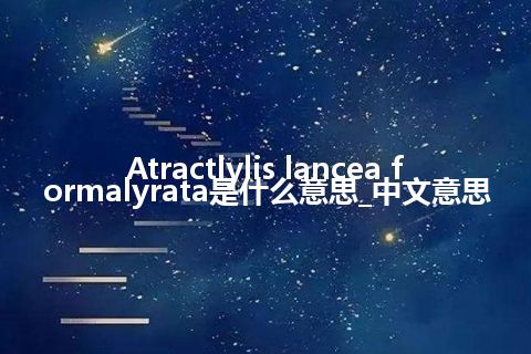 Atractlylis lancea formalyrata是什么意思_中文意思