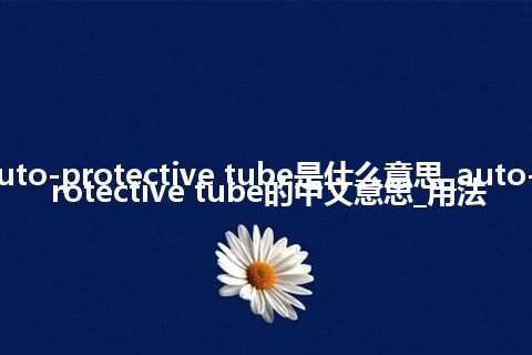 auto-protective tube是什么意思_auto-protective tube的中文意思_用法