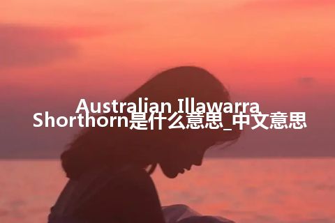 Australian Illawarra Shorthorn是什么意思_中文意思