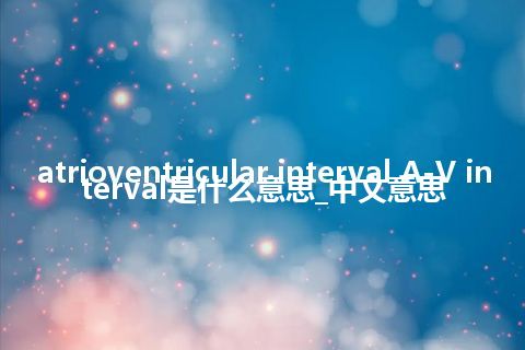 atrioventricular interval A-V interval是什么意思_中文意思