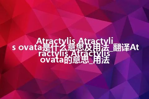 Atractylis Atractylis ovata是什么意思及用法_翻译Atractylis Atractylis ovata的意思_用法