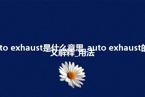 auto exhaust是什么意思_auto exhaust的中文解释_用法