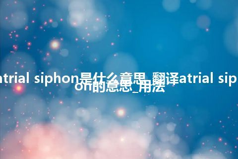 atrial siphon是什么意思_翻译atrial siphon的意思_用法