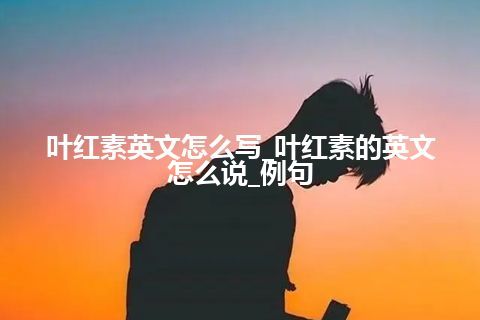 叶红素英文怎么写_叶红素的英文怎么说_例句