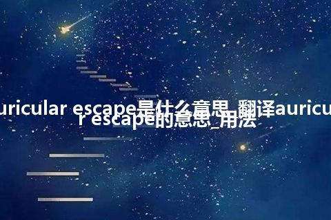 auricular escape是什么意思_翻译auricular escape的意思_用法