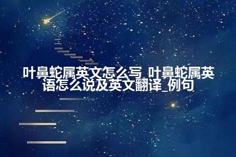 叶鼻蛇属英文怎么写_叶鼻蛇属英语怎么说及英文翻译_例句