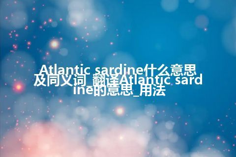 Atlantic sardine什么意思及同义词_翻译Atlantic sardine的意思_用法