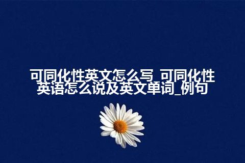 可同化性英文怎么写_可同化性英语怎么说及英文单词_例句